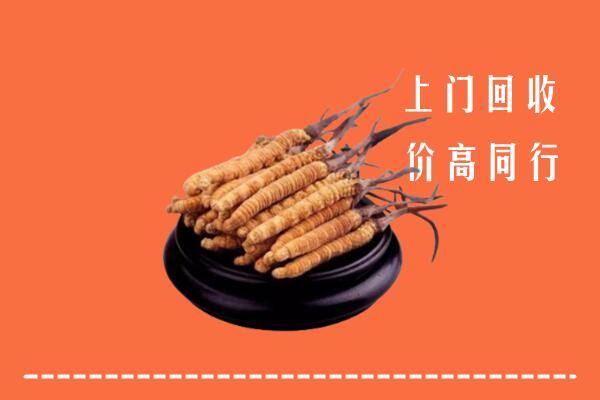 高价求购：榆社县回收散虫草