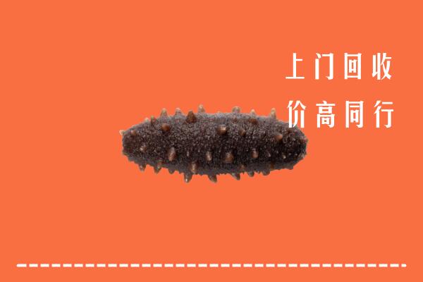 高价求购：榆社县回收海参
