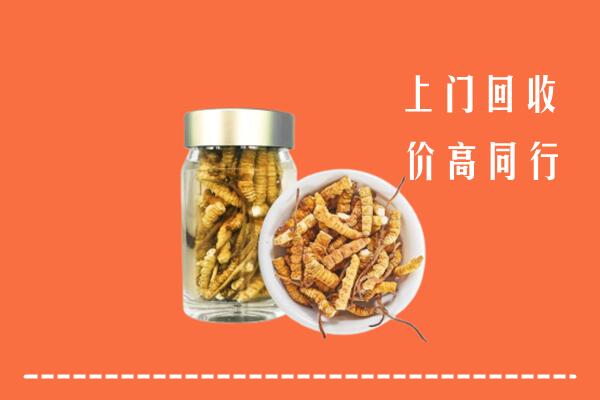 榆社县回收冬虫夏草