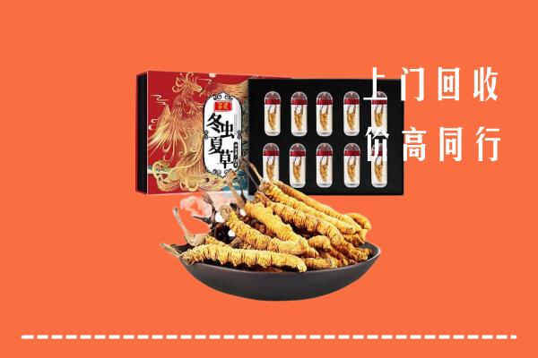 榆社县回收虫草